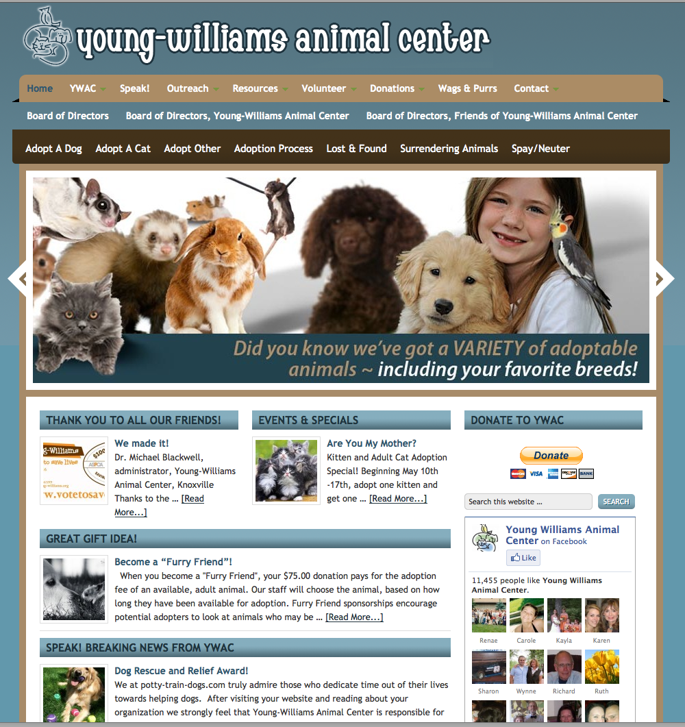 Young Williams Animal Center Web Development
